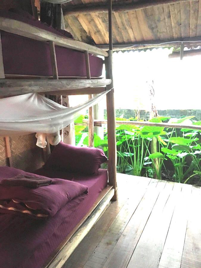 Nguyen Shack - Phong Nha Central Town Luaran gambar